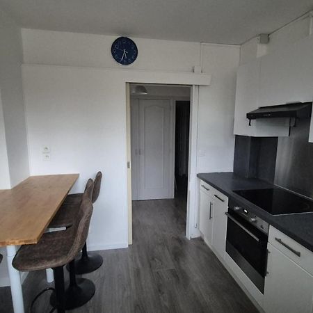 Appartement Spacieux & Paisible Meythet Kültér fotó